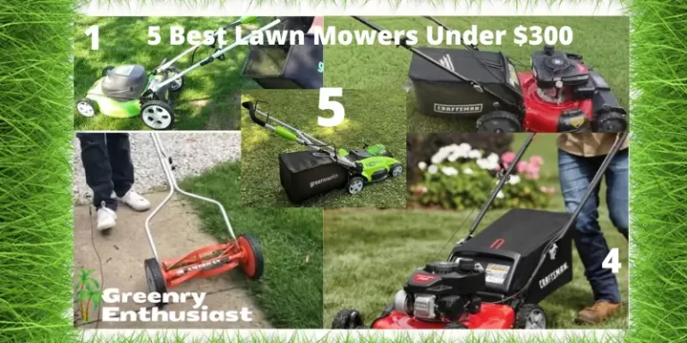 Top 5 Best Lawn Mowers Under $300