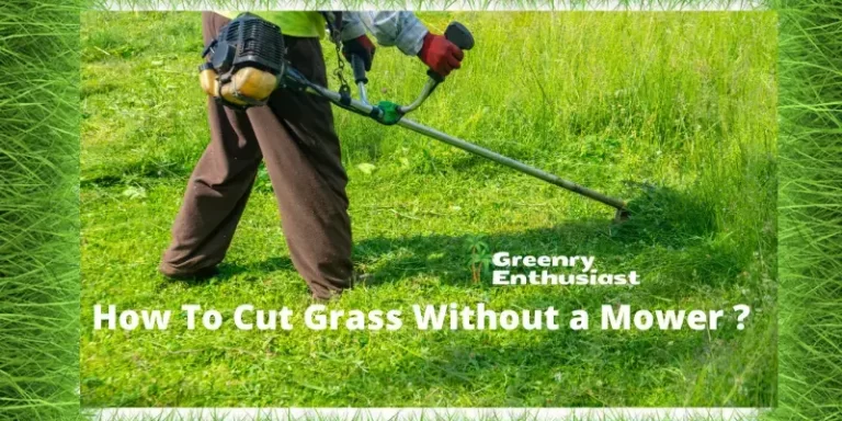 How to cut grass without a mower