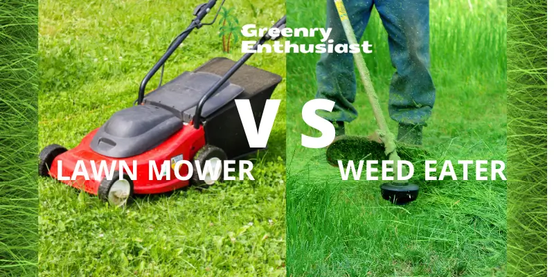lawn mower vs weed eater