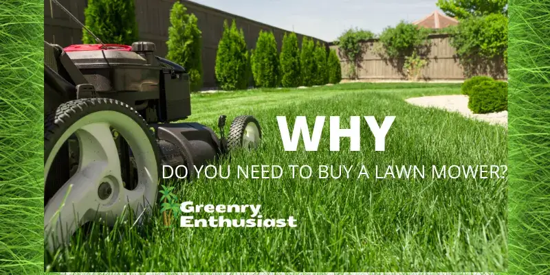 what do you need to buy a lawn mower