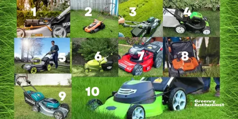 Best Electric Lawn Mowers in 2023