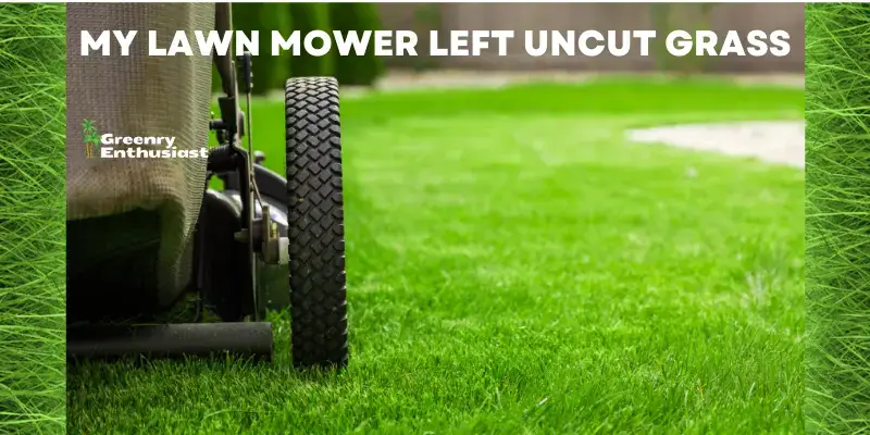 lawn mower lef uncut grass