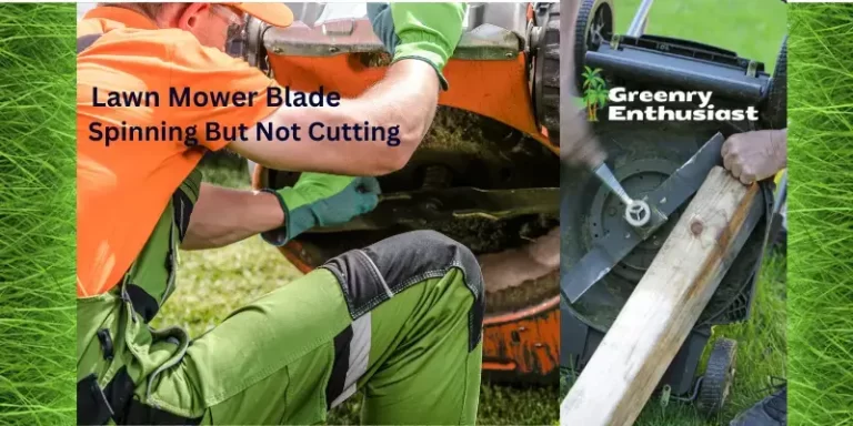Lawn Mower Blade Spinning But Not Cutting