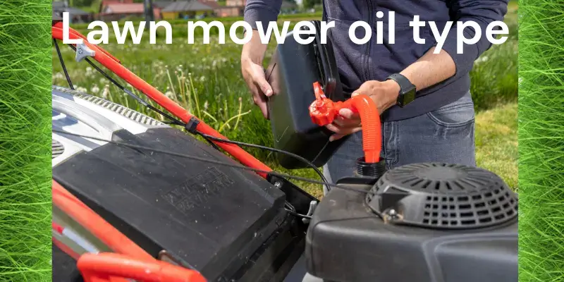 Lawn mower oil type
