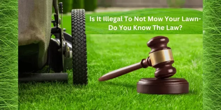 Is It Illegal To Not Mow Your Lawn- Do You Know The Law?