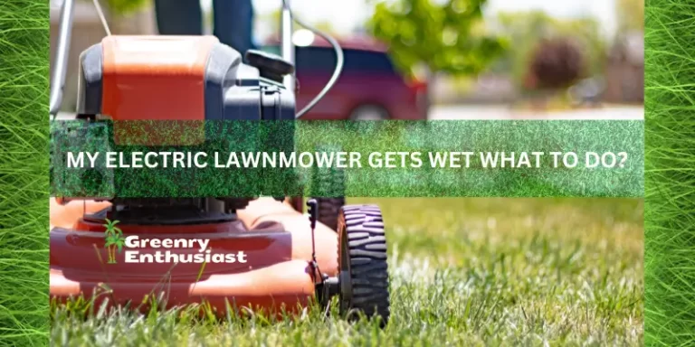 My Electric Lawn Mower Gets Wet