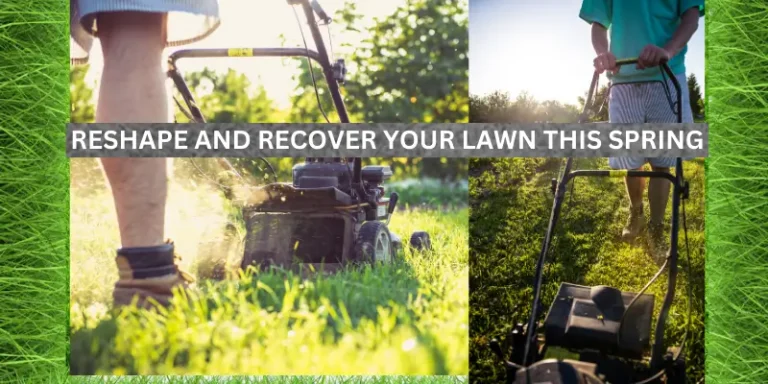 RESHAPE AND RECOVER YOUR LAWN THIS SPRING