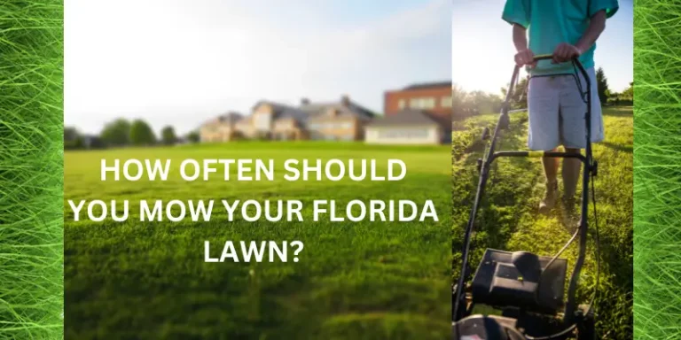 HOW OFTEN SHOULD YOU MOW YOUR FLORIDA LAWN?