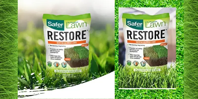 LAWN RESTORE NATURAL LAWN FERTILIZER (9-0-2) BY SAFER BRAND