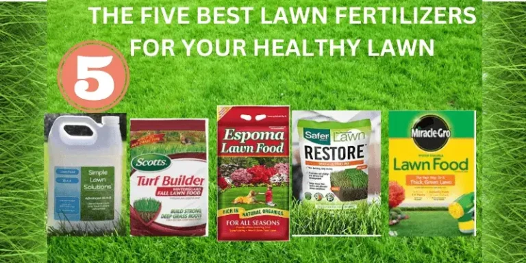 The five best lawn fertilizers for your healthy lawn