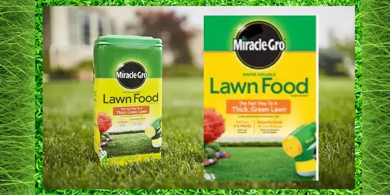 WATER-SOLUBLE LAWN FOOD BY MIRACLE-GRO