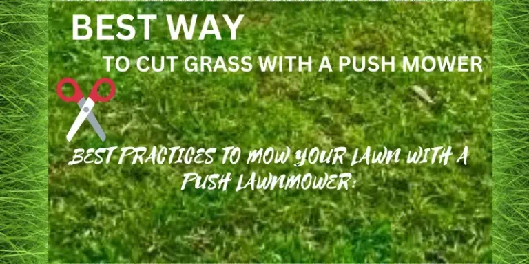 Best way to cut grass with a push mower