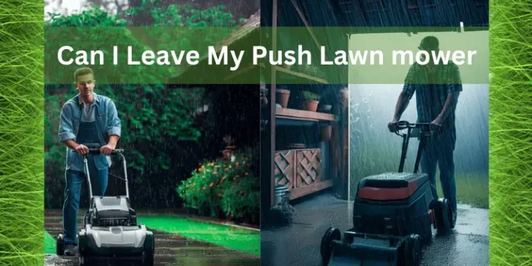 Can I Leave My Push Lawn mower