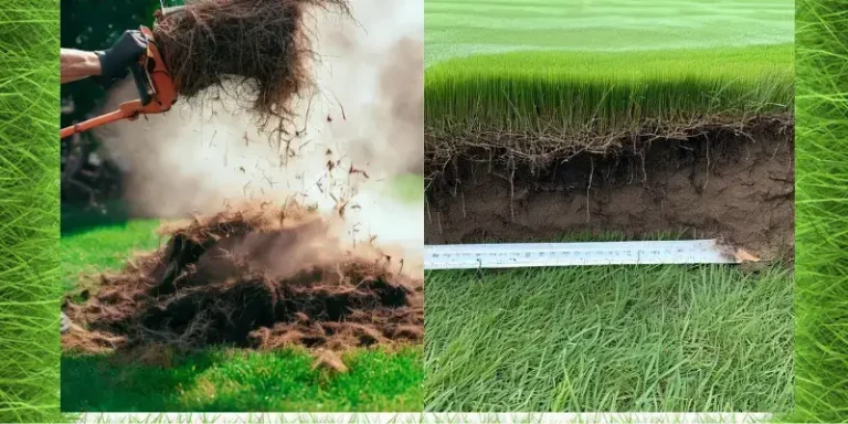 Dethatching a lawn with a power rake to remove thick thatch buildup