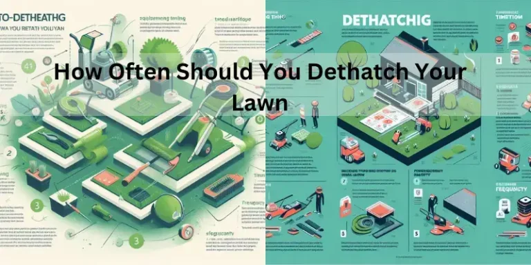 How Often Should You Dethatch Your Lawn