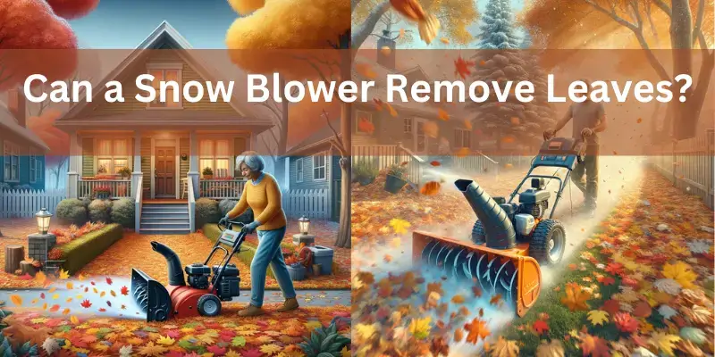 Can a Snow Blower Remove Leaves