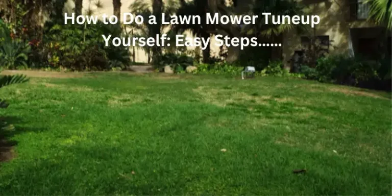 How to Do a Lawn Mower Tuneup Yourself