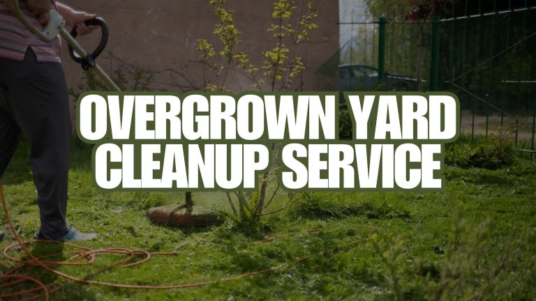 Overgrown Yard CleanUp Service