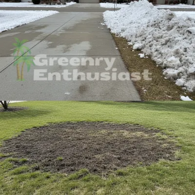 Compacting Snow on Lawn