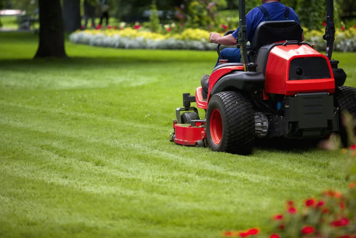 Red zero-turn mower cutting stripes into a park lawn beside a flower border