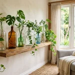 Glass Bottle Plant Ideas